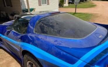 Chevrolet-Corvette-1979-Blue-14