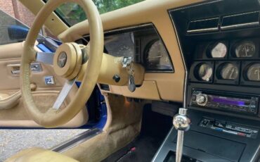 Chevrolet-Corvette-1979-Blue-14