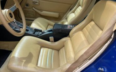 Chevrolet-Corvette-1979-Blue-16