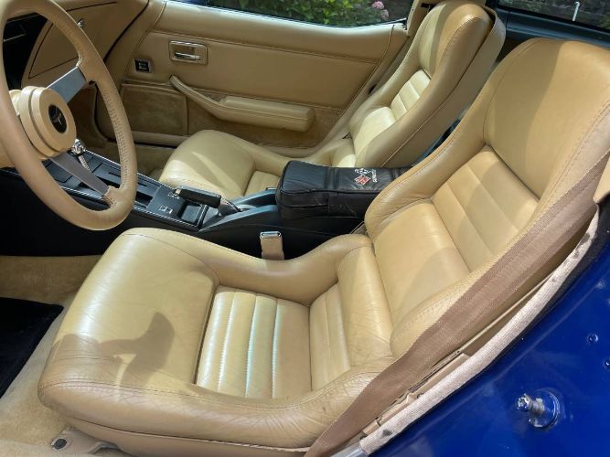 Chevrolet-Corvette-1979-Blue-16