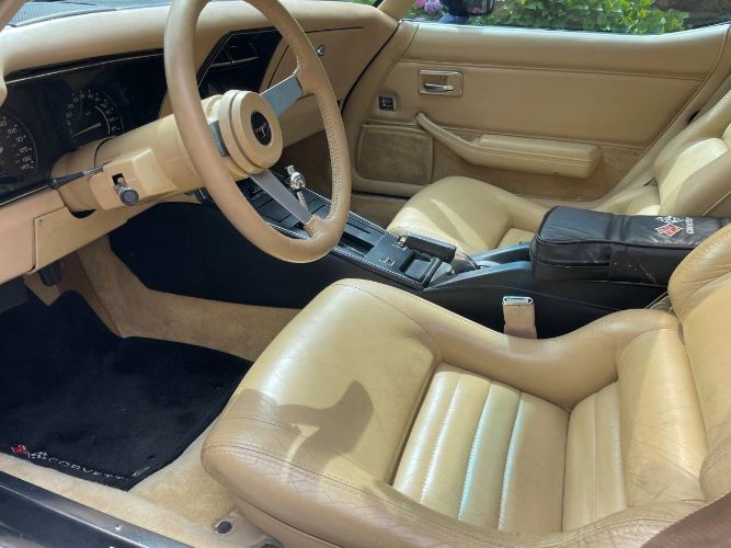 Chevrolet-Corvette-1979-Blue-17