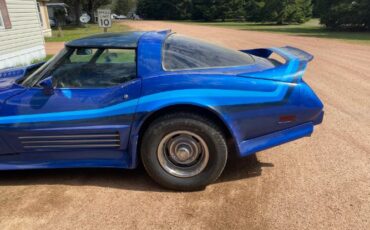 Chevrolet-Corvette-1979-Blue-18