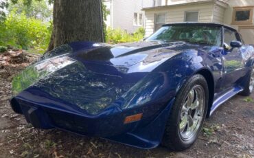 Chevrolet-Corvette-1979-Blue-2