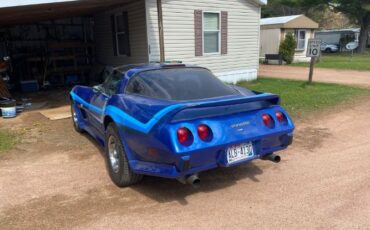 Chevrolet-Corvette-1979-Blue-20