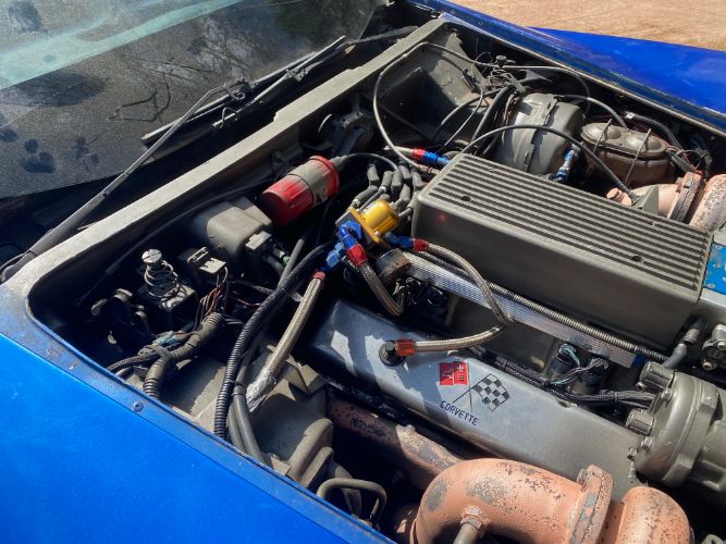 Chevrolet-Corvette-1979-Blue-24