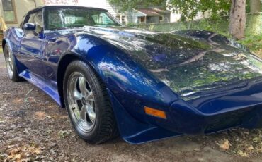Chevrolet-Corvette-1979-Blue-5