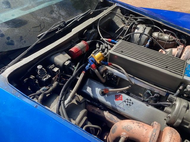 Chevrolet-Corvette-1979-Blue-8