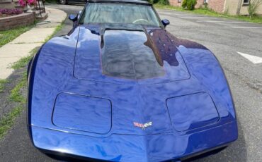 Chevrolet-Corvette-1979-Blue-8