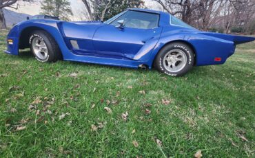 Chevrolet-Corvette-1979-Blue-Blue-5