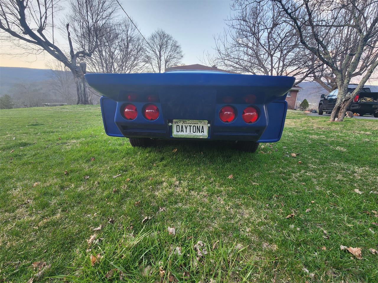 Chevrolet-Corvette-1979-Blue-Blue-7
