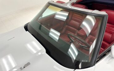 Chevrolet-Corvette-1979-Classic-White-Medium-Red-10