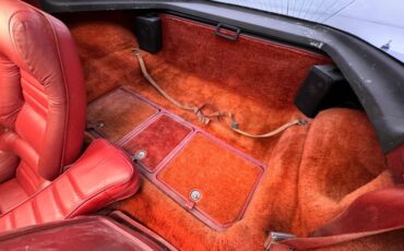Chevrolet-Corvette-1979-Classic-White-Medium-Red-40