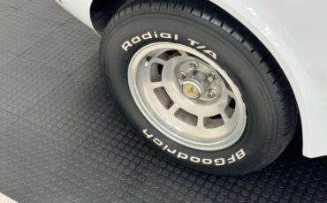 Chevrolet-Corvette-1979-Classic-White-Medium-Red-8