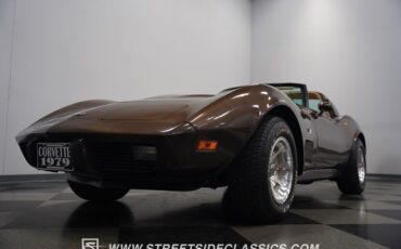 Chevrolet-Corvette-1979-Coupe-24