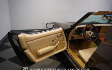 Chevrolet-Corvette-1979-Coupe-39
