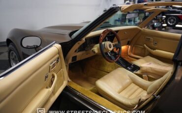 Chevrolet-Corvette-1979-Coupe-4
