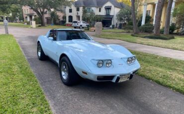 Chevrolet-Corvette-1979-Frost-Blue-Blue-Leather-12