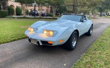 Chevrolet-Corvette-1979-Frost-Blue-Blue-Leather-4