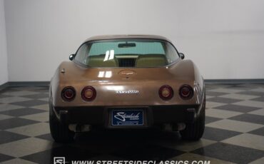 Chevrolet-Corvette-1979-Hilton-Brown-Metalli-Tan-15