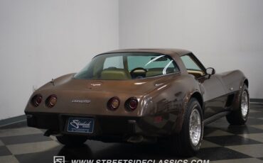 Chevrolet-Corvette-1979-Hilton-Brown-Metalli-Tan-16