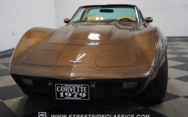 Chevrolet-Corvette-1979-Hilton-Brown-Metalli-Tan-2