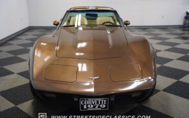 Chevrolet-Corvette-1979-Hilton-Brown-Metalli-Tan-23
