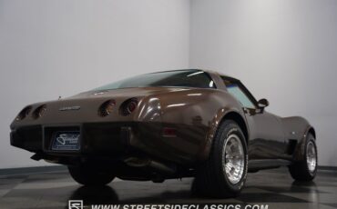 Chevrolet-Corvette-1979-Hilton-Brown-Metalli-Tan-29