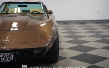 Chevrolet-Corvette-1979-Hilton-Brown-Metalli-Tan-3
