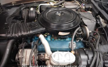 Chevrolet-Corvette-1979-Hilton-Brown-Metalli-Tan-35