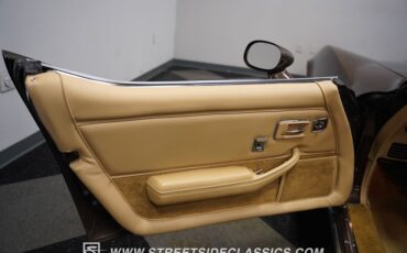 Chevrolet-Corvette-1979-Hilton-Brown-Metalli-Tan-38