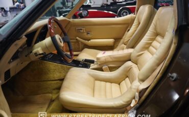 Chevrolet-Corvette-1979-Hilton-Brown-Metalli-Tan-39