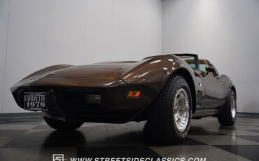 Chevrolet-Corvette-1979-Hilton-Brown-Metalli-Tan-4