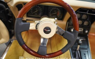 Chevrolet-Corvette-1979-Hilton-Brown-Metalli-Tan-40