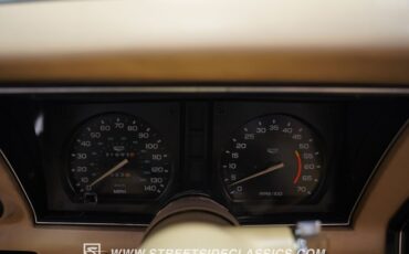 Chevrolet-Corvette-1979-Hilton-Brown-Metalli-Tan-41