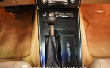 Chevrolet-Corvette-1979-Hilton-Brown-Metalli-Tan-43