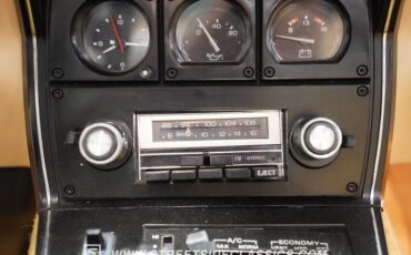Chevrolet-Corvette-1979-Hilton-Brown-Metalli-Tan-44