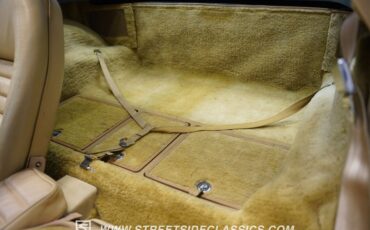Chevrolet-Corvette-1979-Hilton-Brown-Metalli-Tan-47