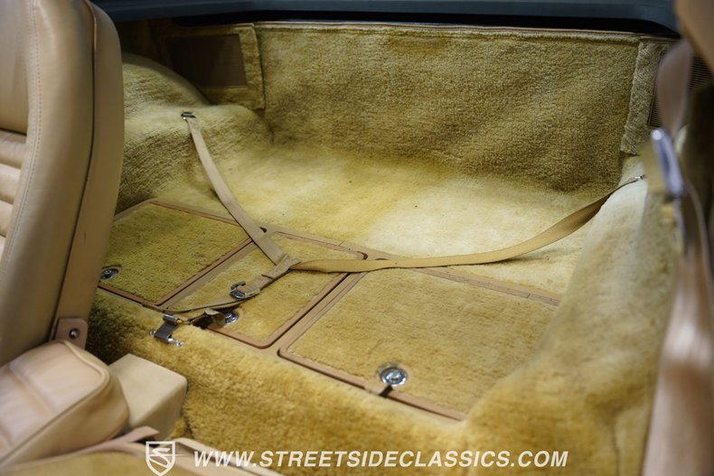 Chevrolet-Corvette-1979-Hilton-Brown-Metalli-Tan-47