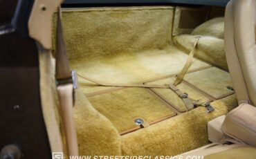 Chevrolet-Corvette-1979-Hilton-Brown-Metalli-Tan-49