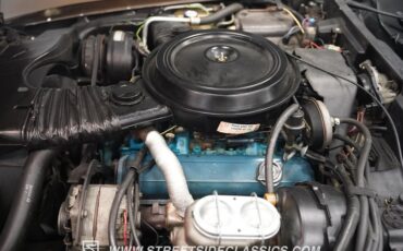 Chevrolet-Corvette-1979-Hilton-Brown-Metalli-Tan-6