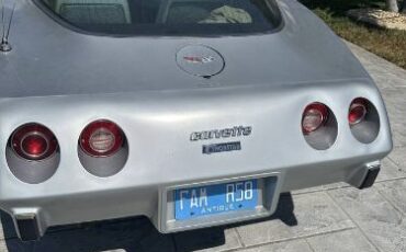 Chevrolet-Corvette-1979-Silver-7