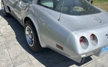 Chevrolet-Corvette-1979-Silver-9