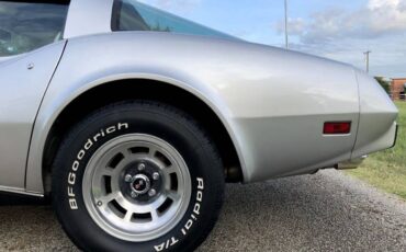Chevrolet-Corvette-1979-Silver-Beige-10