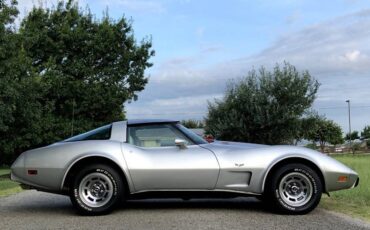Chevrolet-Corvette-1979-Silver-Beige-11