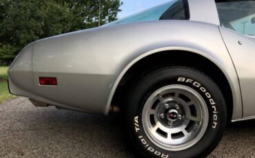 Chevrolet-Corvette-1979-Silver-Beige-12