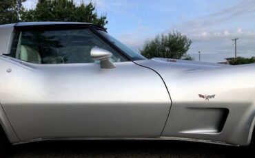 Chevrolet-Corvette-1979-Silver-Beige-13
