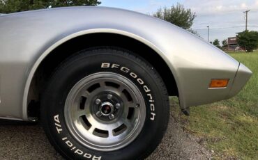Chevrolet-Corvette-1979-Silver-Beige-14