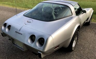 Chevrolet-Corvette-1979-Silver-Beige-15