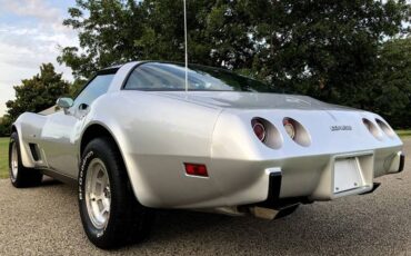 Chevrolet-Corvette-1979-Silver-Beige-16