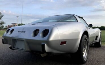 Chevrolet-Corvette-1979-Silver-Beige-18